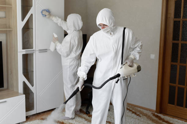 24/7 Emergency Odor Removal experts in Marquette, MI